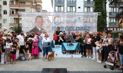 Çiftlikköy’de Duygusal ve Renkli Anlar: Köpek Güzellik Yarışması