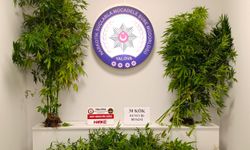 Yalova’da Uyuşturucu Operasyonu: 17 Şüpheli Yakalandı, 9’u Tutuklandı