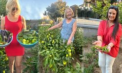 Turşu Ekşi, Zeytin Acı Ama Urla’da Sofralar Hep Tatlı: Şenay Ana’dan 70 Yıllık Kış Hazırlığı Geleneği