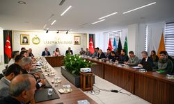 Yalova’da Sahipsiz Hayvanlar İçin Önemli Toplantı: Belediyelere 10 Günlük Süre Tanındı