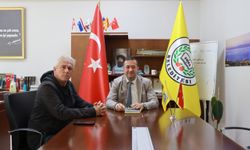 Zirai Don Felaketi Sonrası 12. Yalova Kivi Festivali Bu Yıl Yapılamayacak