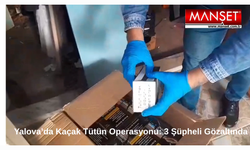 Yalova’da Kaçak Tütün Operasyonu: 3 Şüpheli Gözaltında