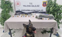 Yalova’da Uyuşturucu Operasyonu: 2 Şüpheli Yakalandı