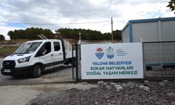 Sokak Hayvanları Doğal Yaşam Merkezi Ziyaretçilere Kapılarını Açıyor