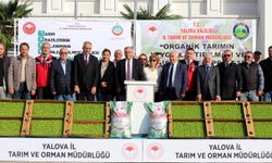 Yalova’da Üreticiye Organik Gübrel ve Kıvırcık Fide Desteği