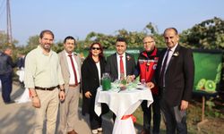 Yalova’da Kivi Hasadı Başladı: Bereketli Topraklarda Emekle Yetişen Ürünler Dalında Altın Gibi Parlıyor