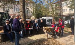 Yalova’da Kedi ve Köpekler Mikroçip ile Kayıt Altına Alınıyor