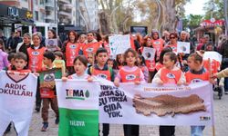 Yalova TEMA’dan Erozyona Dikkat Çeken “Toprak Yürüyüşü”