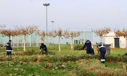 Yalova’da Belediye Çalışmaları Hız Kesmeden Sürüyor