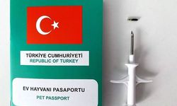 Evcil Hayvan Sahiplerine Çip Zorunluluğu: Son Tarih 31 Aralık 2025