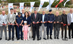 Yalova Belediyesi’nden Sokak Hayvanlarına Kapsamlı Hizmet: Binlerce Can Dosta Destek