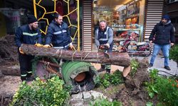 Yalova Belediyesi Fırtınaya Karşı Alarmdaydı: 350 Olaya Anında Müdahale