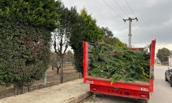 Altınova’da Hizmet Seferberliği: Ekipler Dört Koldan Sahada