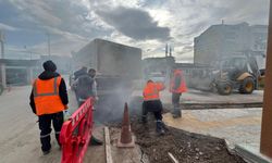 Altınova’da Yol Onarım Seferberliği Sürüyor