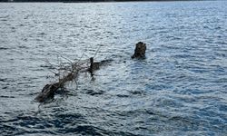 Denizde Tehlike Oluşturan Yüzen Ağaç Güvenli Şekilde Kıyıya Alındı