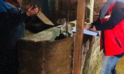 Yalova’da Gebe İnek Projesi Başladı