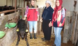 Kırsalda Bereket Projesi Yalova’da İlk Sonuçlarını Verdi