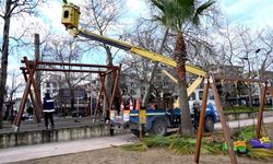 Gazi Paşa Caddesi’nde Budama Devam Ediyor
