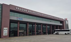 Yalova Otobüs Terminali Yanında İnekler Otladı: Vatandaş Tepkili