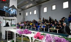 Yalova’da Çiçek Mezatında Sevgililer Günü Hareketliliği