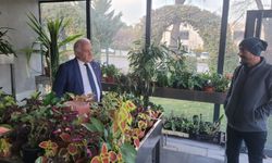 CHP’li Becan’dan Yalova’yı İlgilendiren Teklif: Süs Bitkilerinde KDV %1’e İnebilecek
