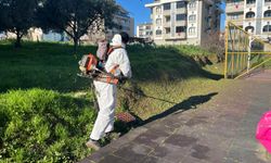 Altınova Bahara Hazırlanıyor: İlçede Kapsamlı Çalışmalar Başladı