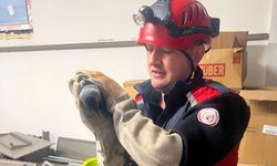 Çiftlikköy İtfaiyesi’nden Can Dostlara Hızlı Müdahale