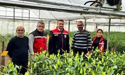 Sevgililer Günü Öncesi Çiçek Üreticilerine Ziyaret