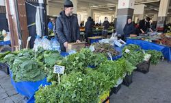 Yalova’da Örtüaltı Sebze Üretim Alanlarında Entegre Mücadele Çalışmaları Sürüyor