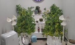 Bursa’da Narkotik Operasyonu: Aranan Hükümlü Yakalandı, Uyuşturucu Düzeneği Ele Geçirildi