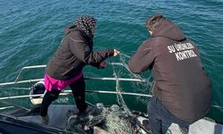 Marmara Denizi’nde Kaçak Av Aracına El Konuldu, Koruma Altındaki Türler Denize Bırakıldı