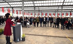 Yalova, Atalık Tohum Takas Şenliği ile Renklendi