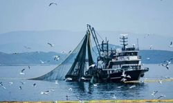 Balıkçılıkta Av Sezonu Yarın Sona Eriyor: Büyük Tekneler İçin Yasak Başlıyor