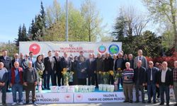 Yalova’da Çiftçilere Fasulye ve Ayçiçeği Tohumu Desteği