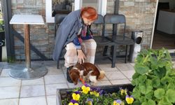 Çiftlikköy’de Duygulandıran Buluşma: 90 Yaşındaki Cevriye Teyze Köpeği Fındık’la Kavuştu