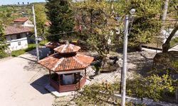 Yalova’da Çukurköy ve Gacık’taki Anıt Ağaçların Bakımı Tamamlandı: Asırlık Çınarlar Koruma Altına Alındı