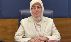 Tonami Köprüsü Çarşamba Günü Yeniden Trafiğe Açılıyor