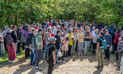 YALOVA’DA “ŞAKAYIĞIN İZİNDE” DOĞA YÜRÜYÜŞÜNE YOĞUN İLGİ
