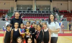 Yalova Belediyesporlu Jimnastikçiler Okullar Arası Yarışmada Madalyaları Topladı