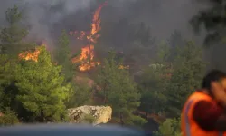 Balıkesir'i Yakan İhmal! Gömeç Yangınında 2 Şüpheli Tutuklandı