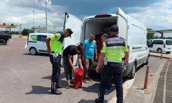 Yalova'da Kaçak Midye Operasyonu: 3 Ton Belgesiz Kara Midye Ele Geçirildi