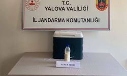 Yalova'da 5 Milyon Dolarlık Akrep Zehri Operasyonu! Jandarmadan Kaçakçılığa Büyük Darbe