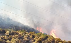 Armutlu ve Gemlik Sınırında Alevlerle Mücadele: Yangın Kontrol Altında!