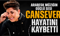 Ünlü Sanatçı Cansever Yaşamını Yitirdi