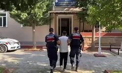 Jandarmadan Nefes Kesen Operasyon: Milyonlarca Kök Kenevir İmha Edildi