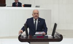 Tahsin Becan'dan TBMM'de Çocuk Koruma Kanunu Eleştirisi
