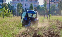 Yalova'da Çalışmalar Sürüyor: Millet Bahçesi ve Pazar Yerinde Düzenleme