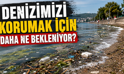 Yalova Rizeliler Derneği Başkanı İsmail Yaprak'tan Deniz Kirliliği Tepkisi