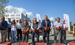 Yalova'da Zararlılara Karşı Kanatlı Biyolojik Mücadele: 200 Sülün Doğaya Bırakıldı