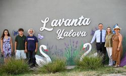 Yalova'nın Huzur Rotası: Lavanta Yalova Ziyaretçilerini Bekliyor